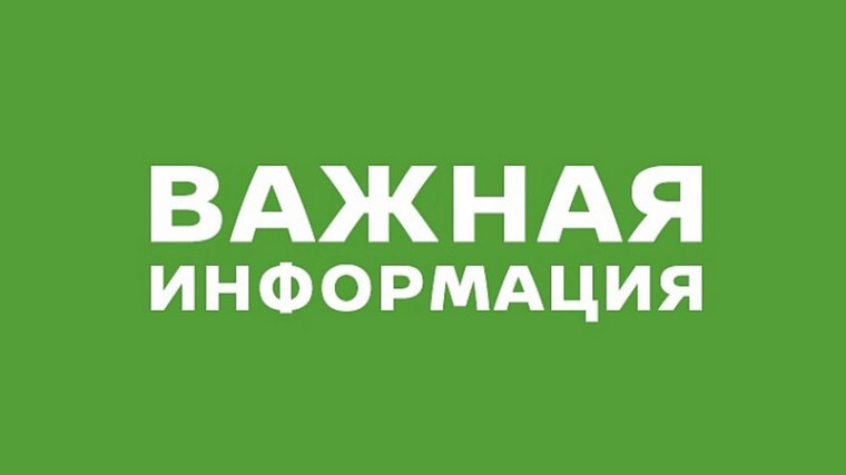 Начался грибной сезон.