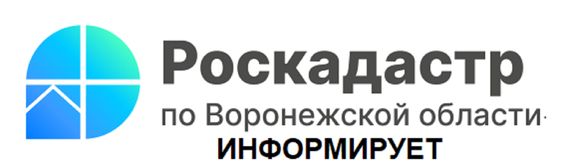 Больше миллиона сведений из ЕГРН выдал региональный Роскадастр за полгода.