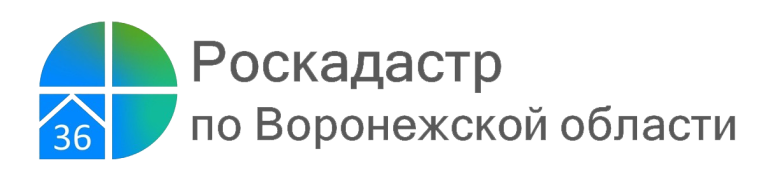 Как выбрать кадастрового инженера?. Как выбрать кадастрового инженера?.