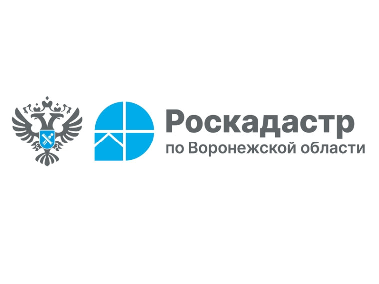 Как получить копии документов на недвижимость?. Как получить копии документов на недвижимость?.